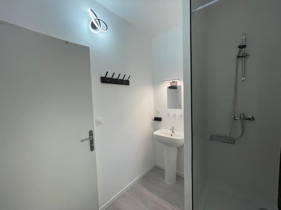 Studio A2 18M2 Cosy 5Minutes Gare Parking Gratuit Rue De La Mure Roanne Exterior foto